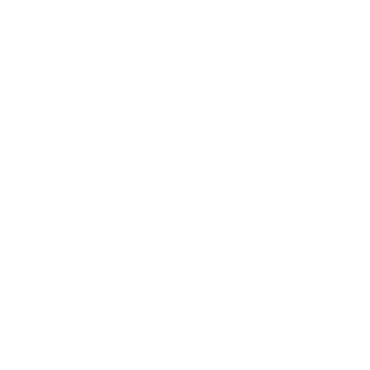 Acompañamiento en proyectos de gran escala